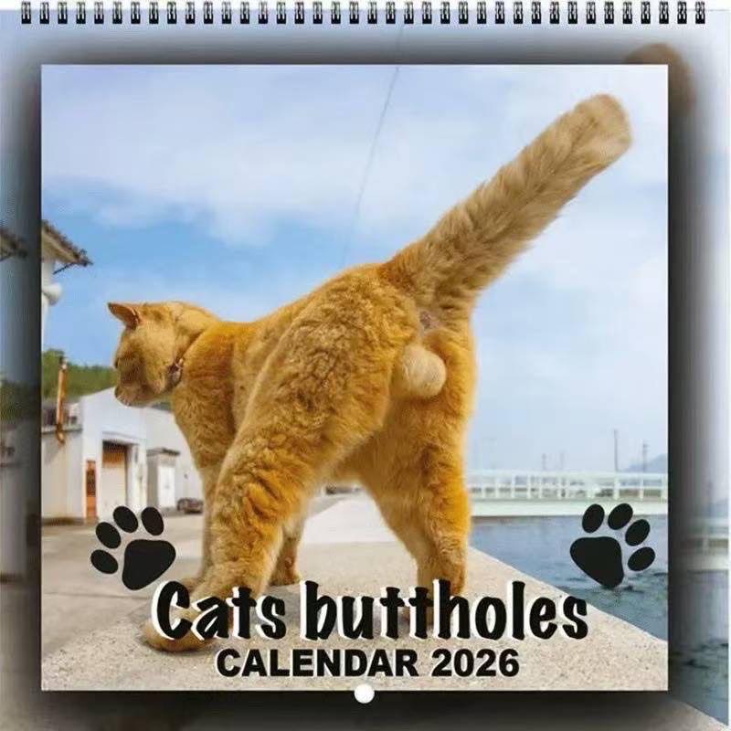 Cats butthole英文日历