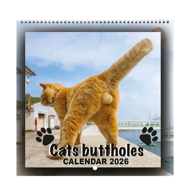 Cats butthole英文日历