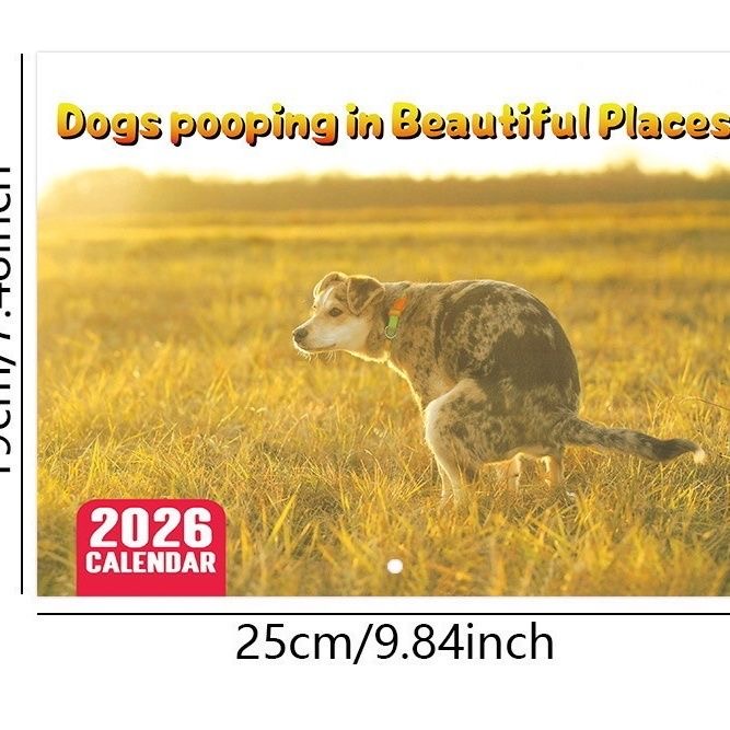 Dogs pooping in Beautiful Places 2026英文日历