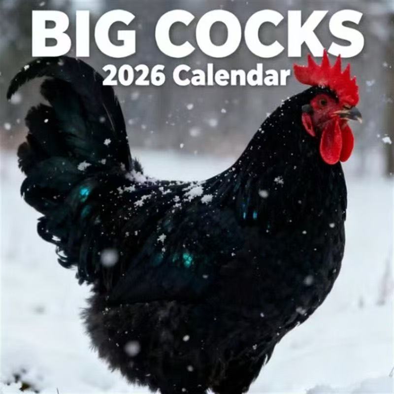 BIG COCKS大公鸡2026日历