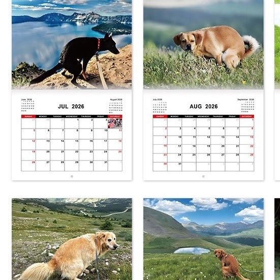 Dogs pooping in Beautiful Places 2026英文日历
