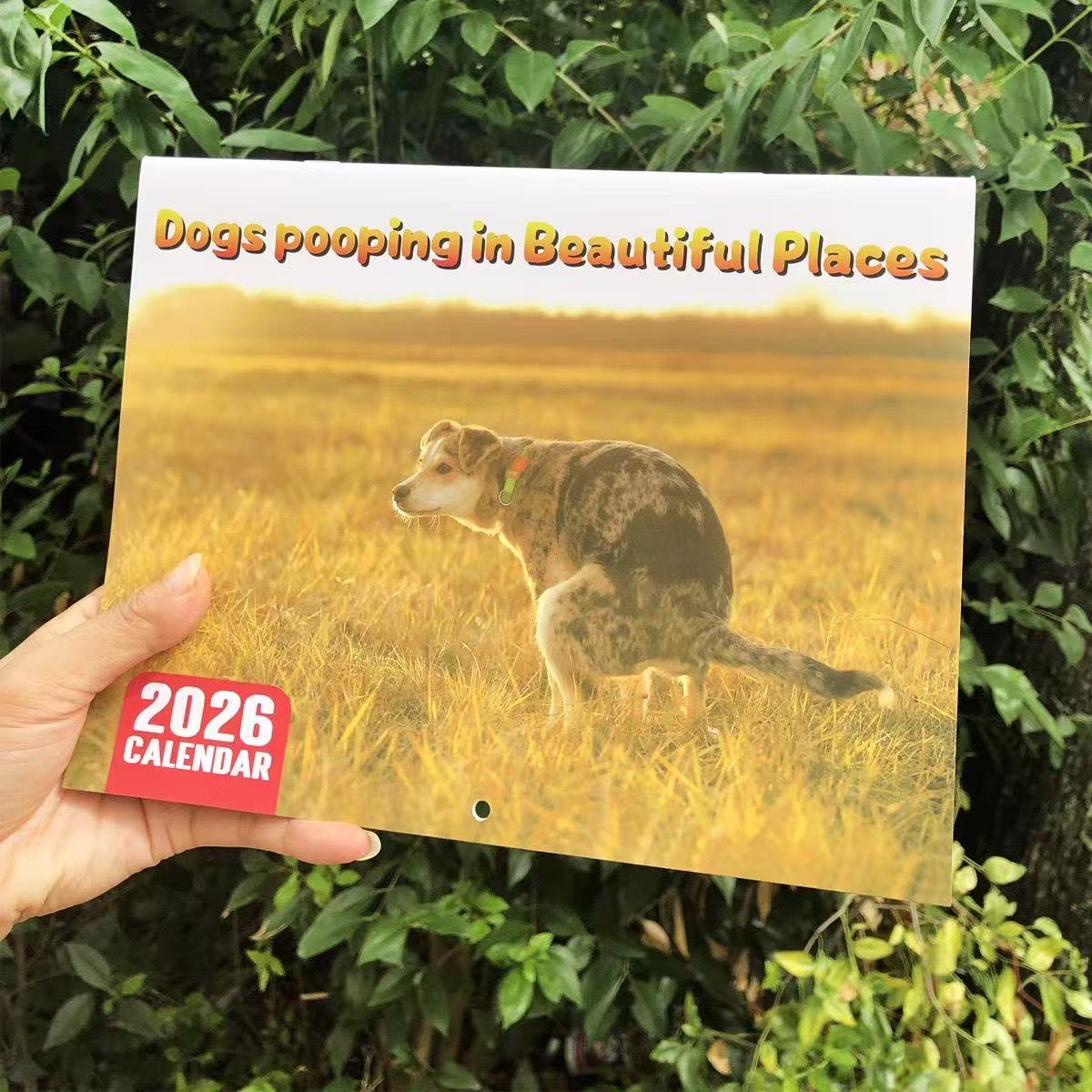 Dogs pooping in Beautiful Places 2026英文日历
