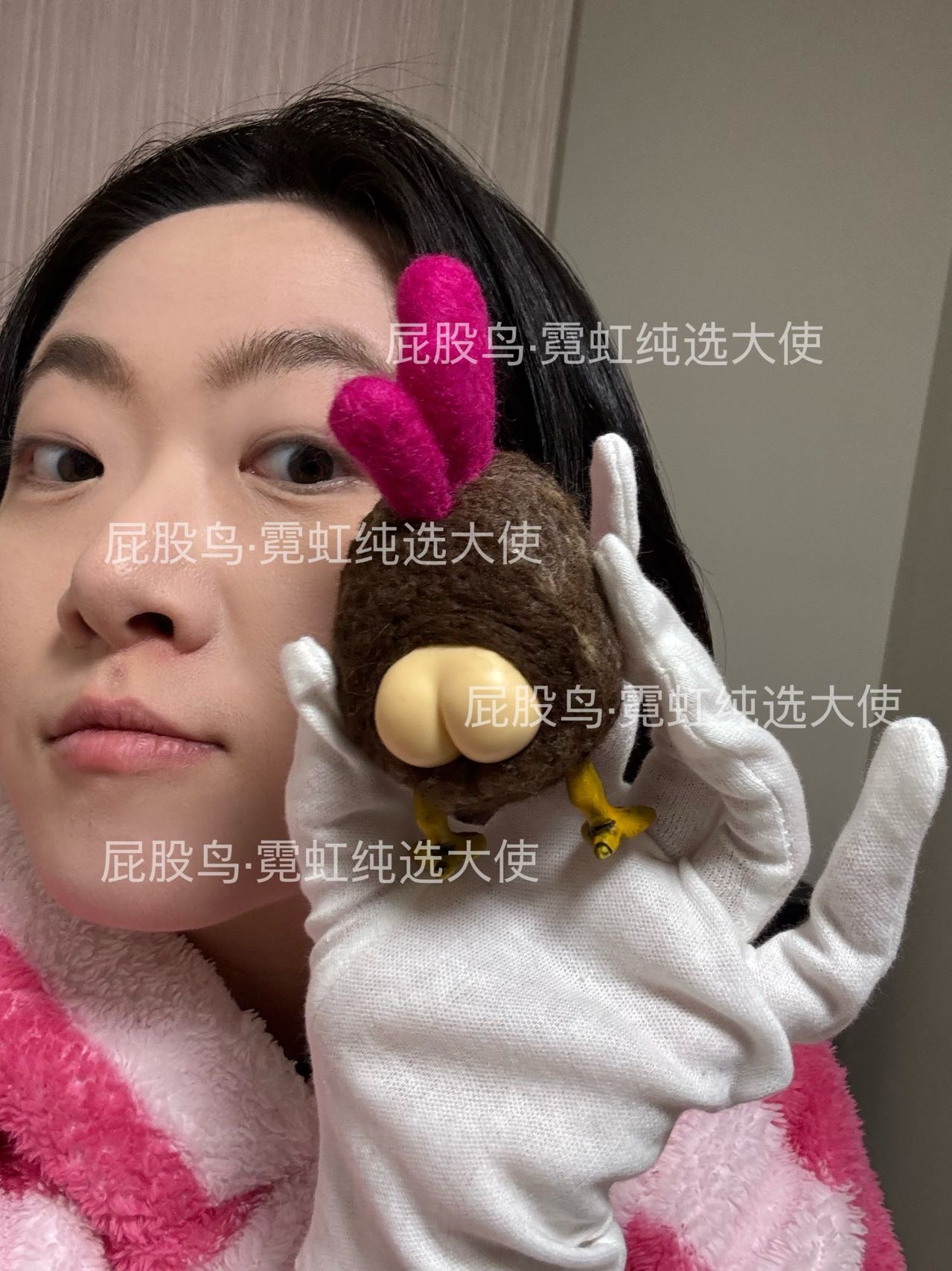 【抽选截止】Bobanchi｜棕色小公鸡屁股鸟