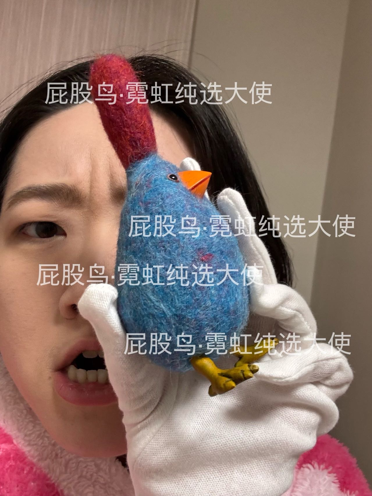 【抽选截止】Bobanchi｜蓝色棒槌小屁股鸟