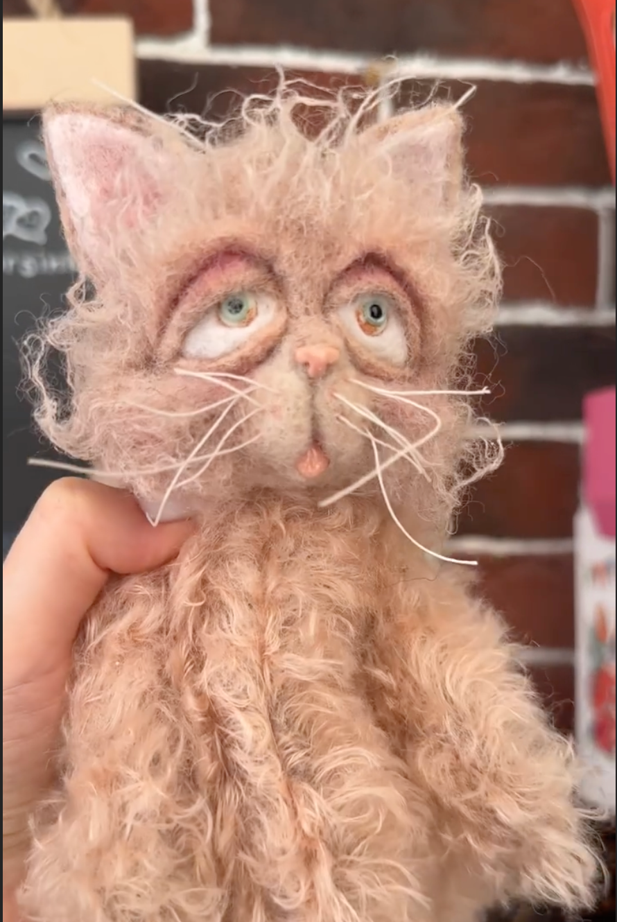 俄罗斯&middot;Vorsinka｜疯狂Kitty🐈