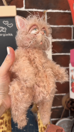 俄罗斯&middot;Vorsinka｜疯狂Kitty🐈