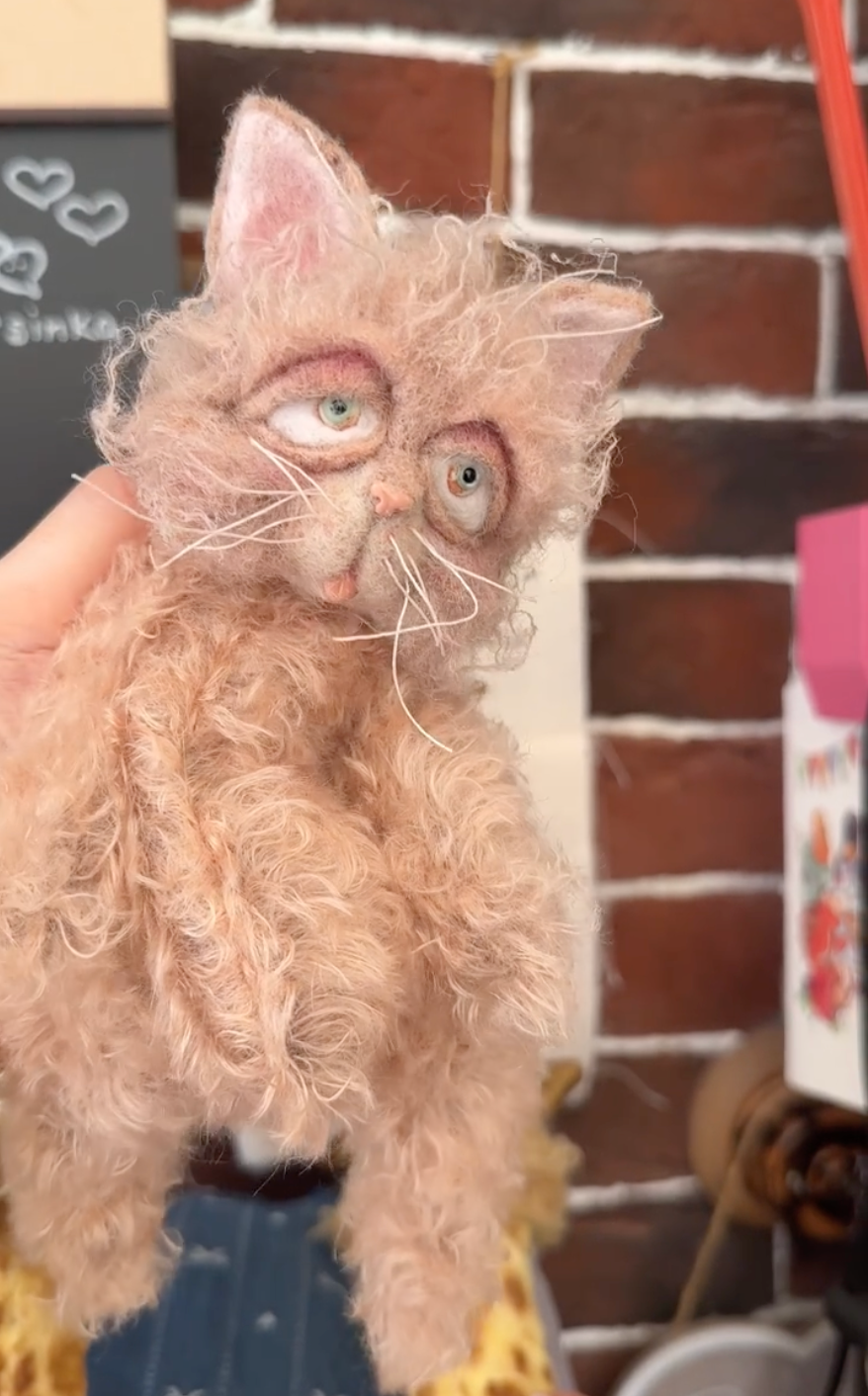 俄罗斯&middot;Vorsinka｜疯狂Kitty🐈