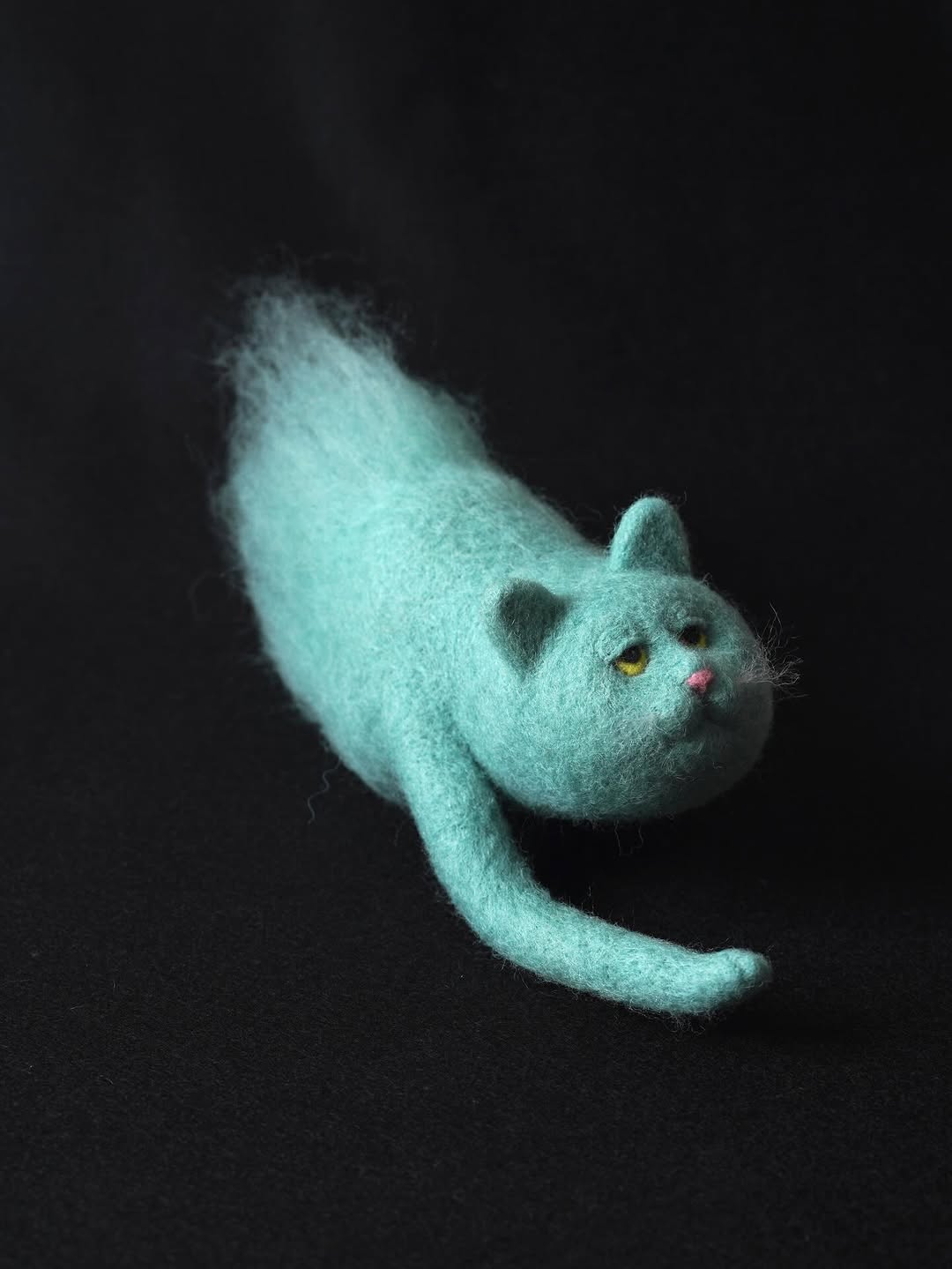 Akira Kanda｜跨次元的猫