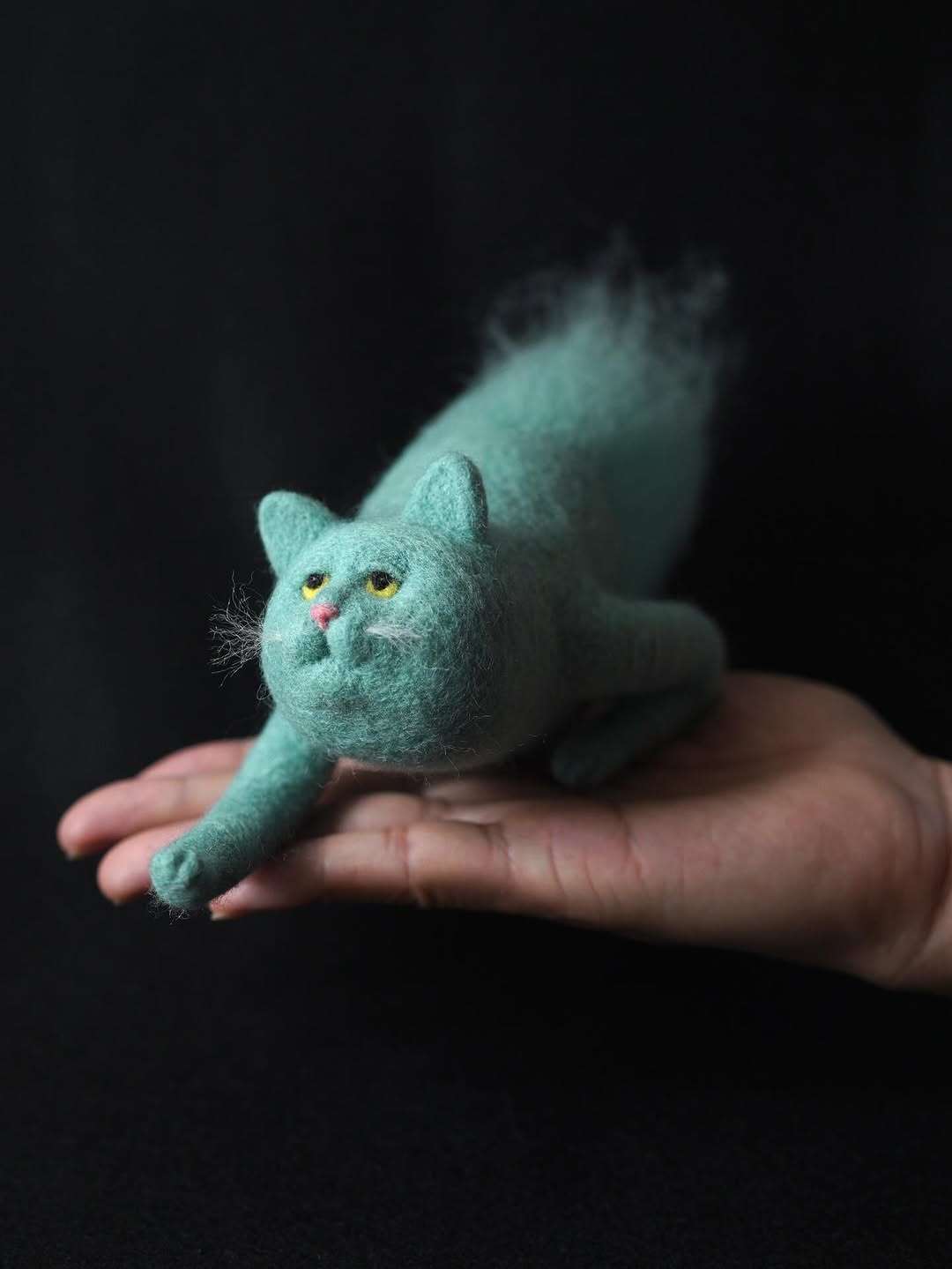 Akira Kanda｜跨次元的猫
