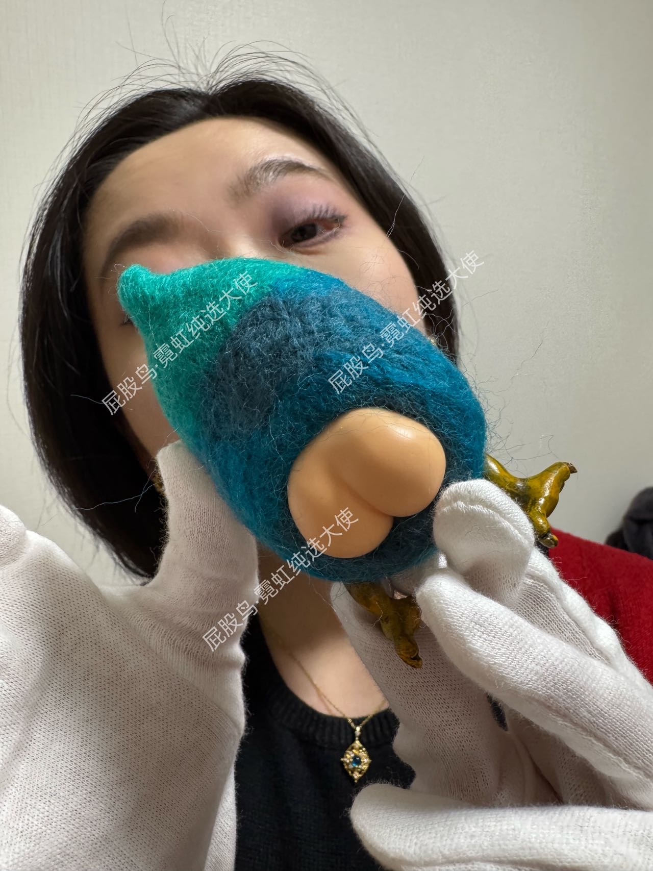【抽选链接】小号屁股鸟&middot;渐变聪明毛