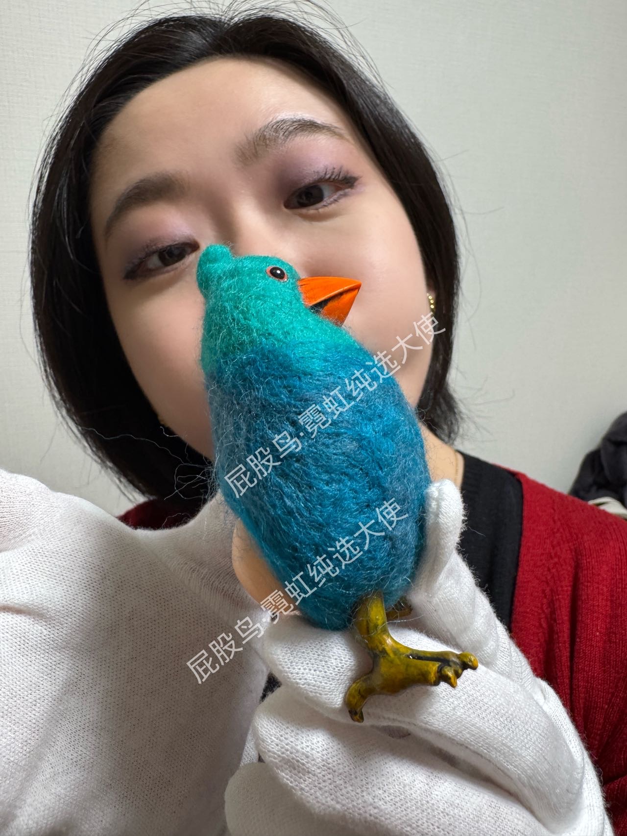 【抽选链接】小号屁股鸟&middot;渐变聪明毛
