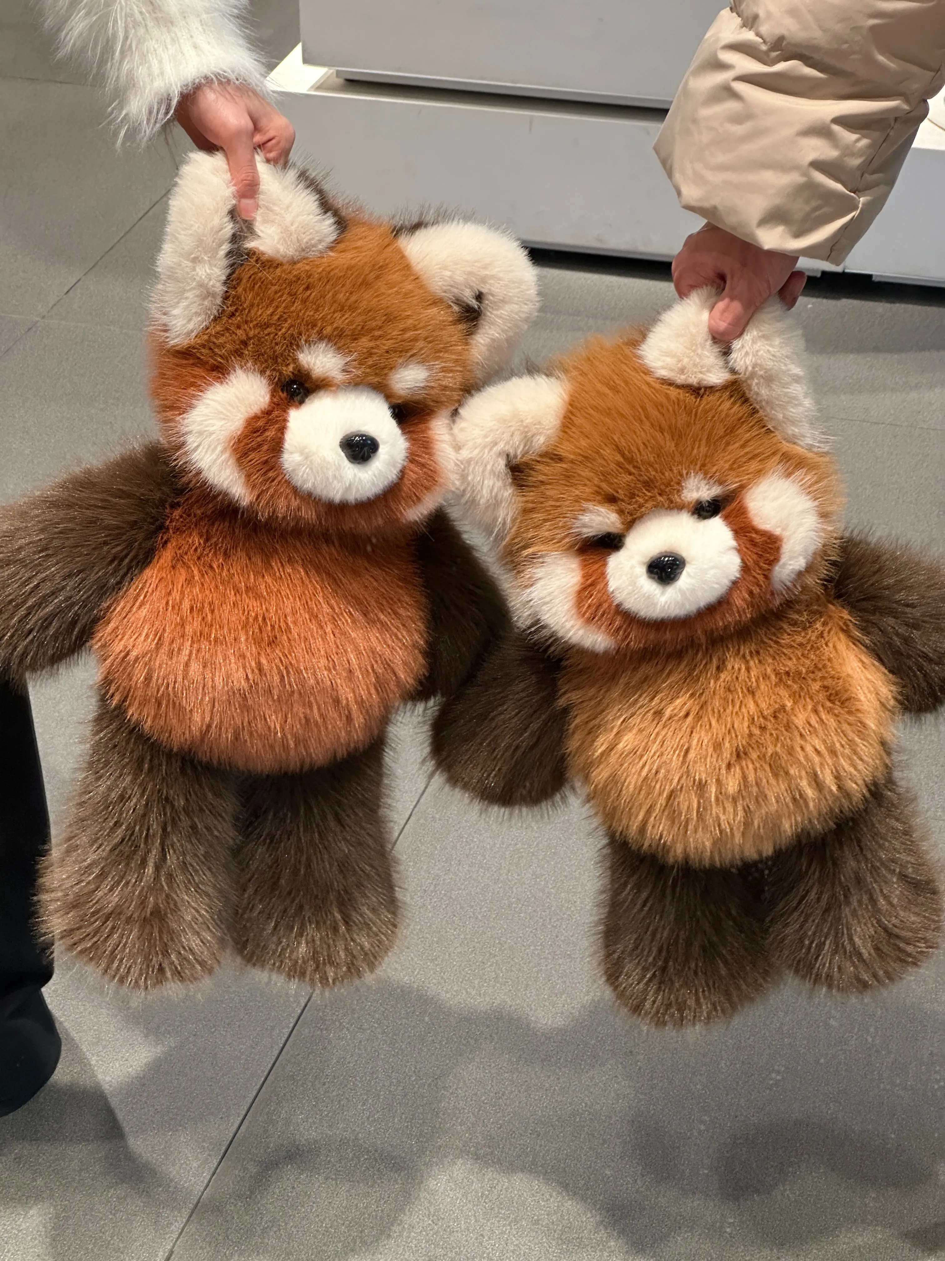 CUB FOREST ｜ 跑跑动物崽系列