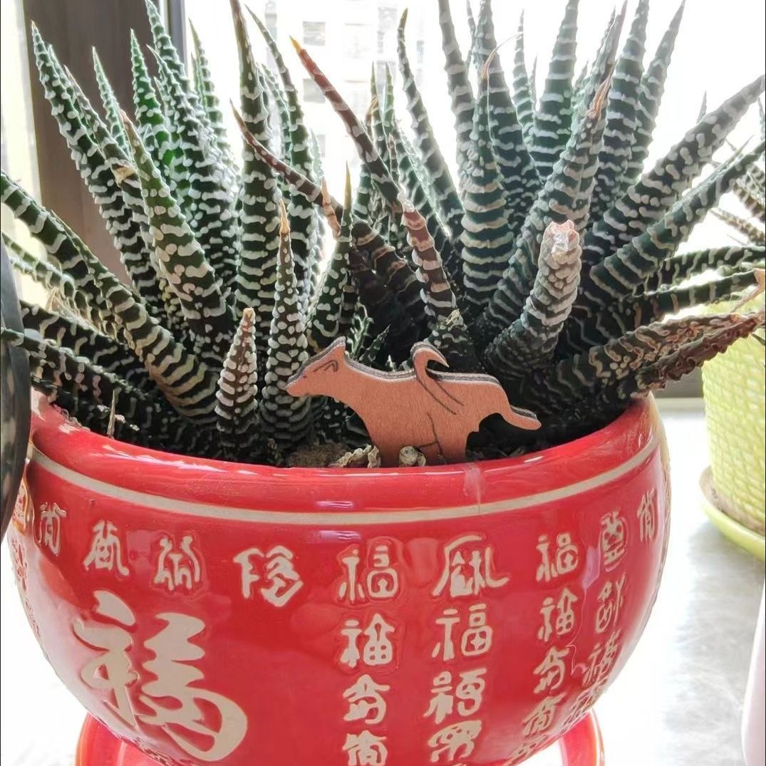 父与子与狗，有爱的盆插