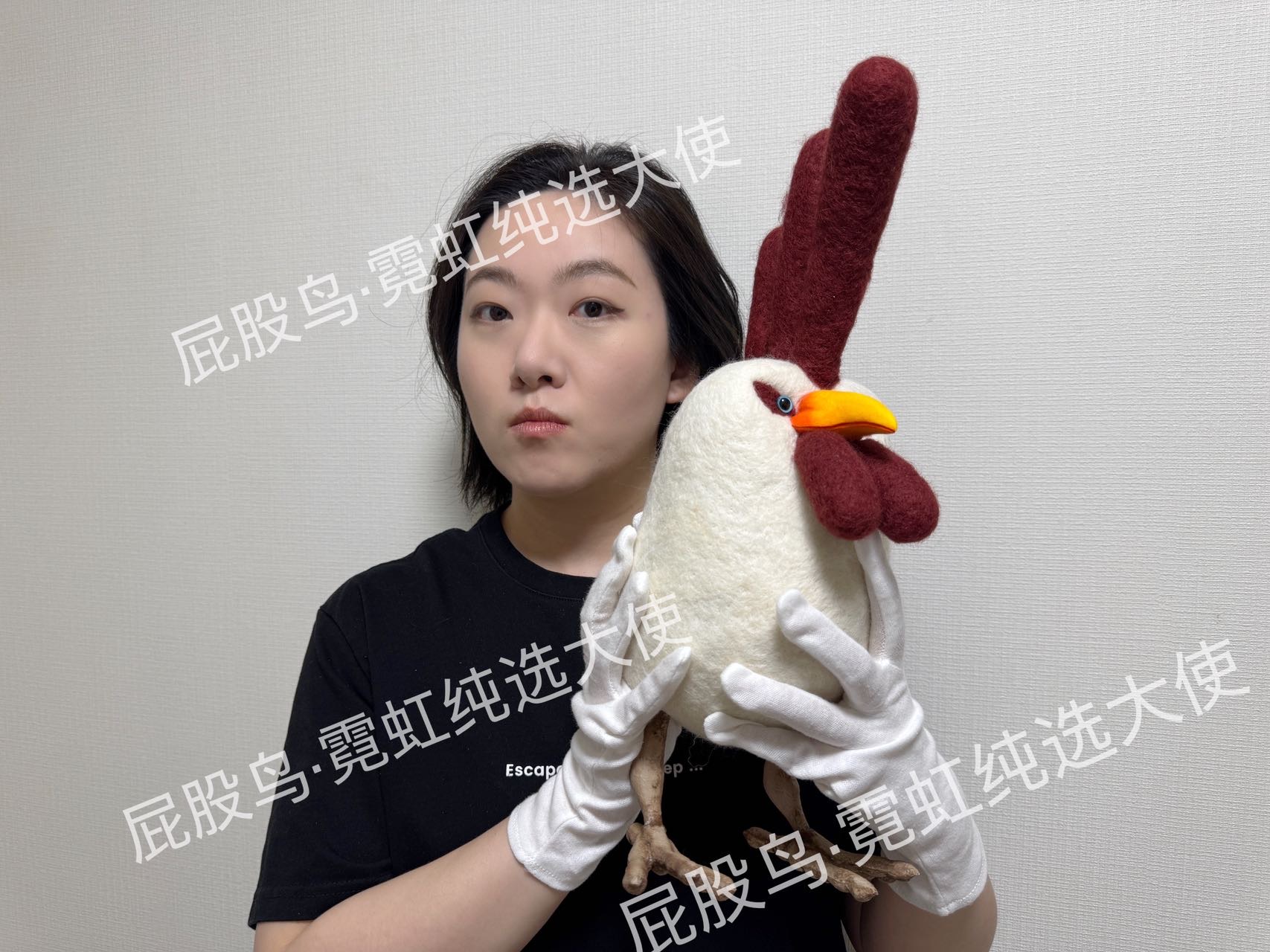 【屁股鸟】大公鸡千呼万唤始出来