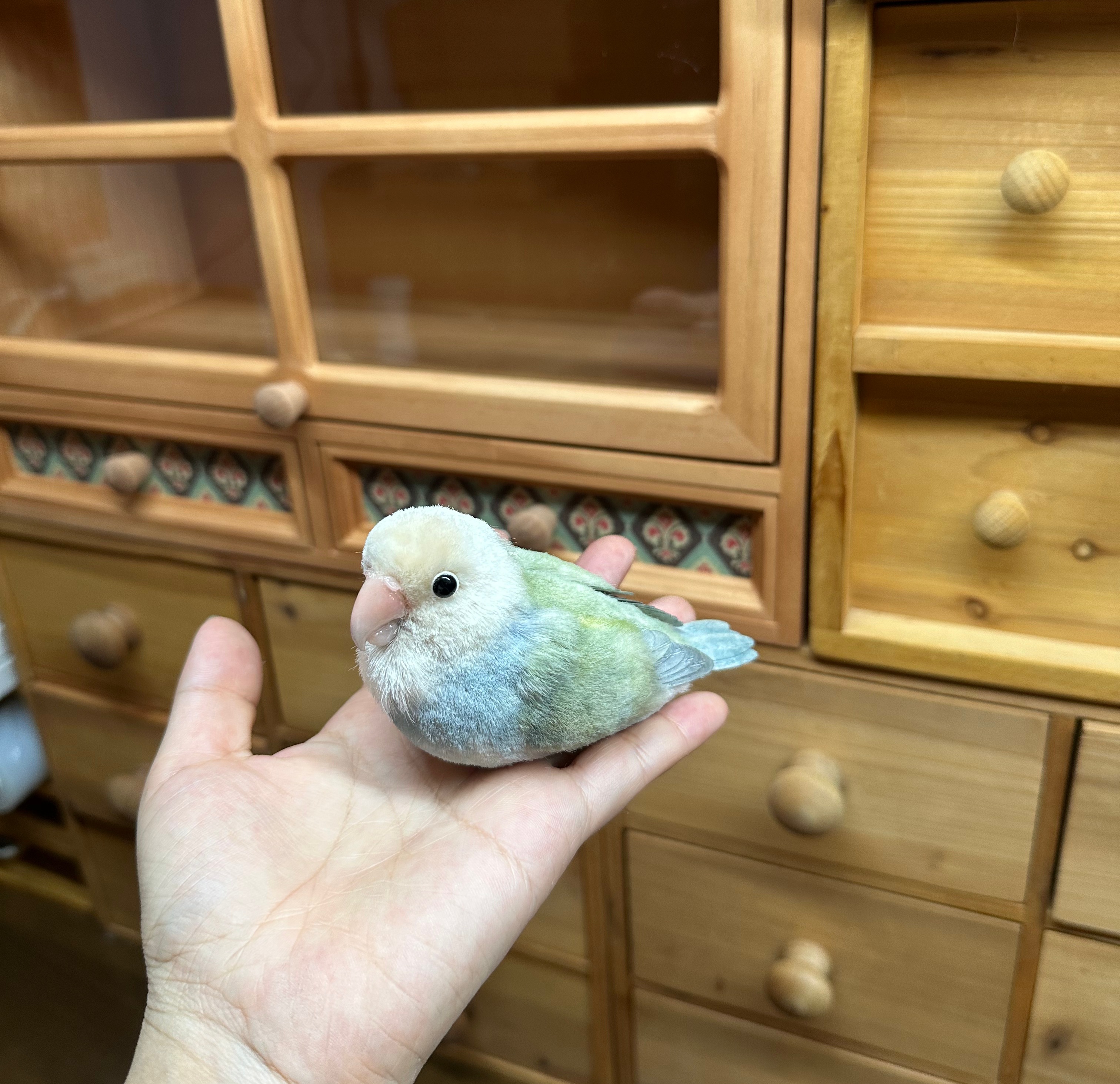 Silk Velvet Flower Craft Chubby Fluff Bird