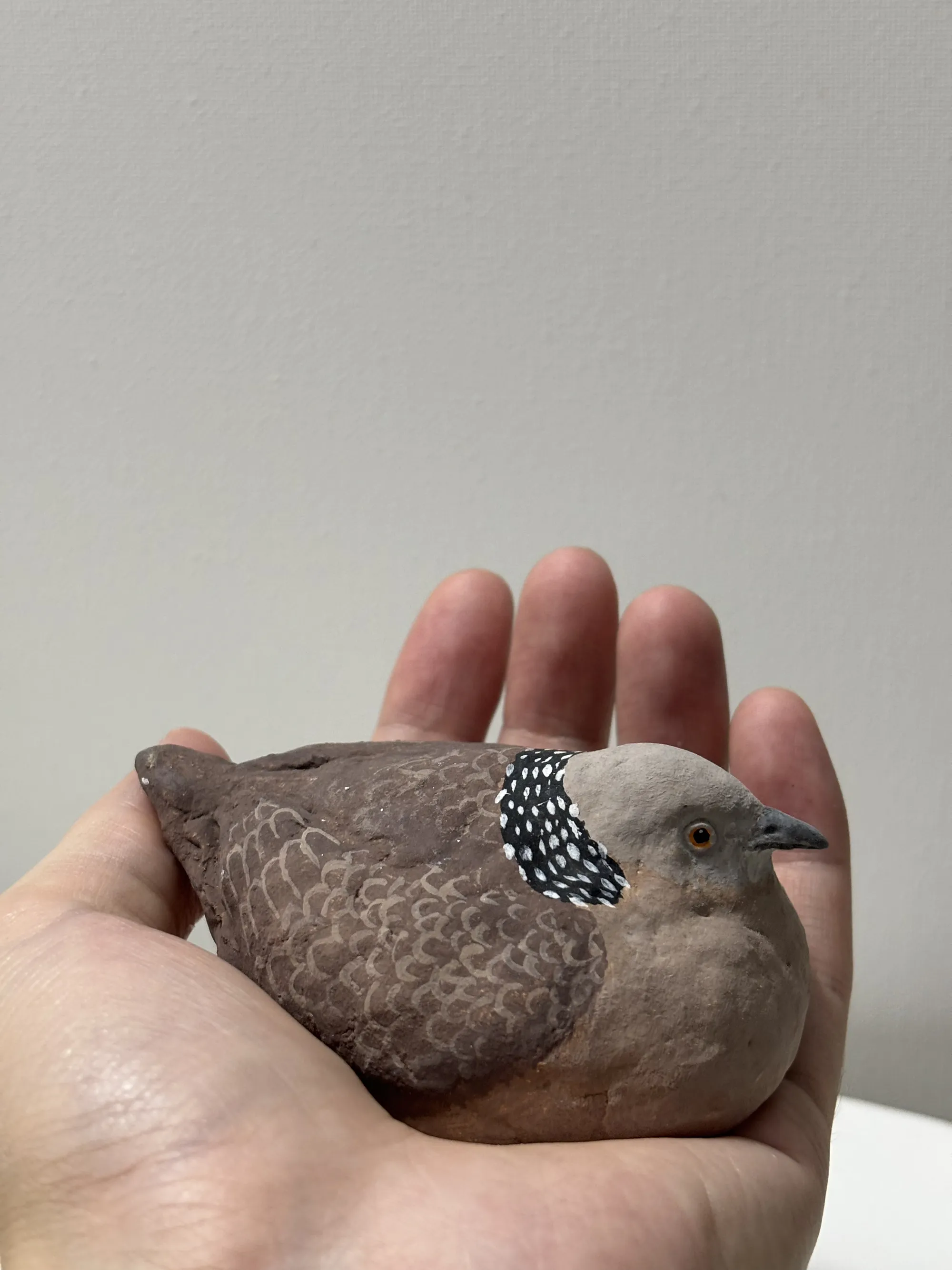 手工泥塑珠颈斑鸠