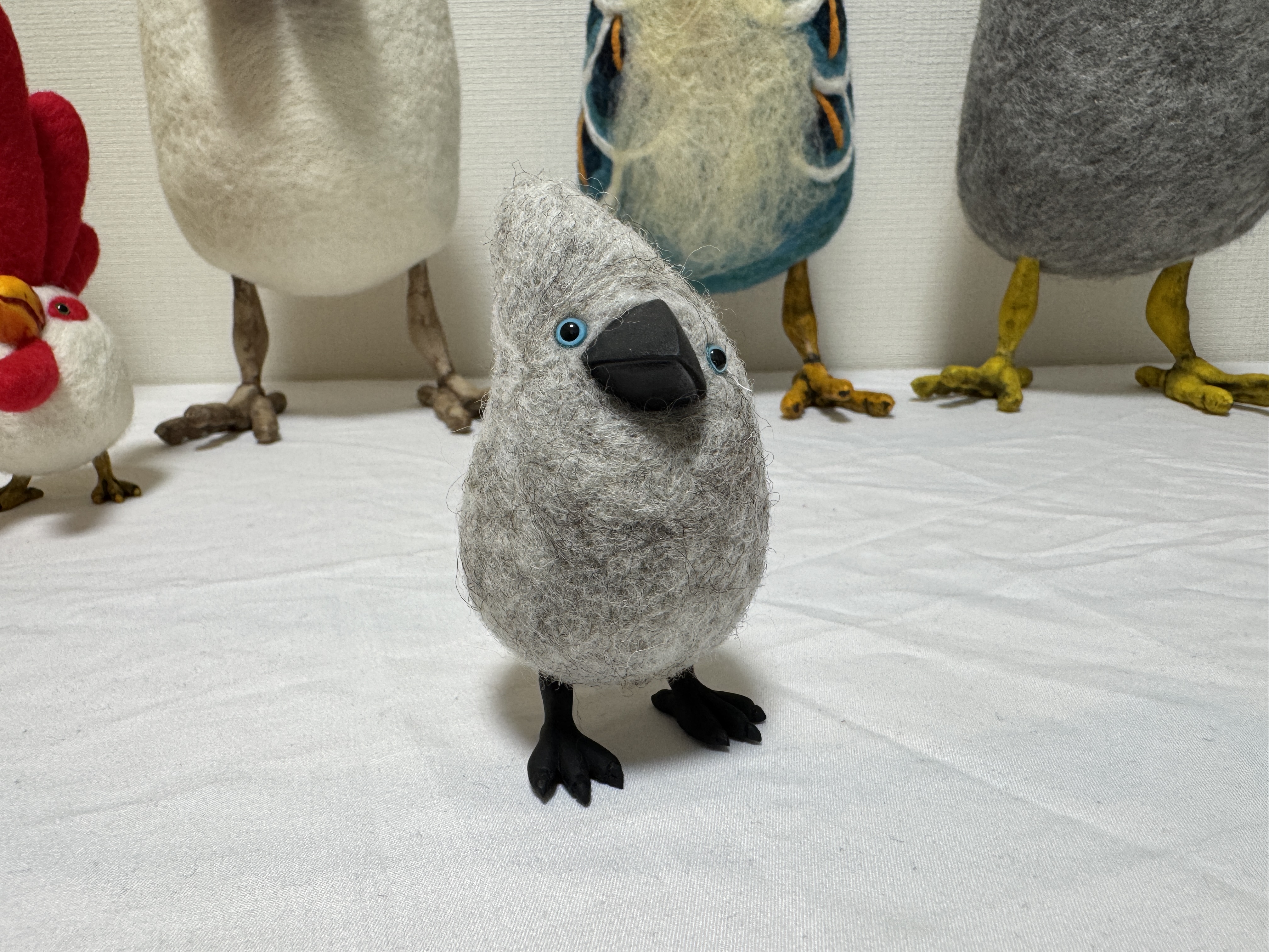 【屁股鸟】银角小王