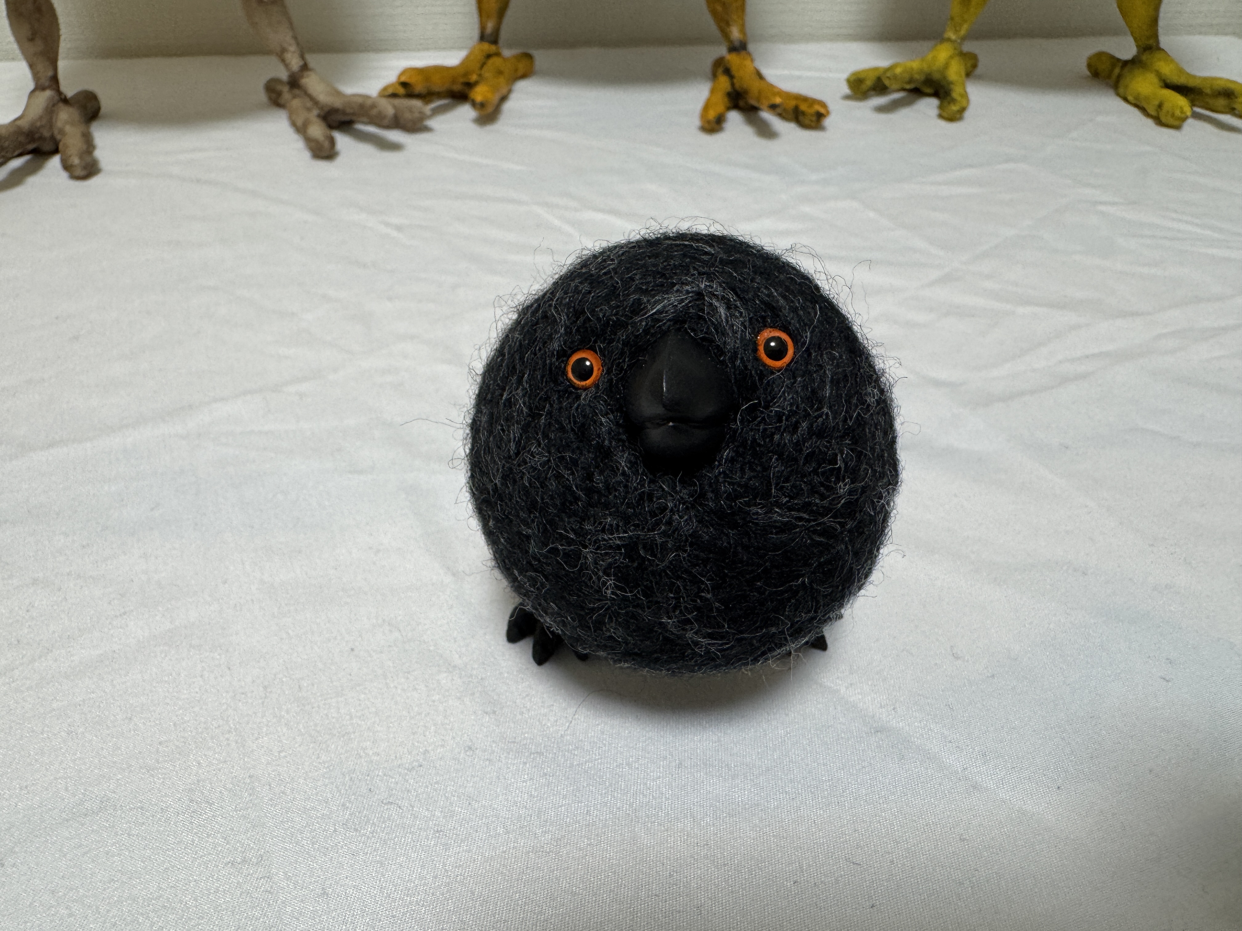【屁股鸟】黑屁股小煤球