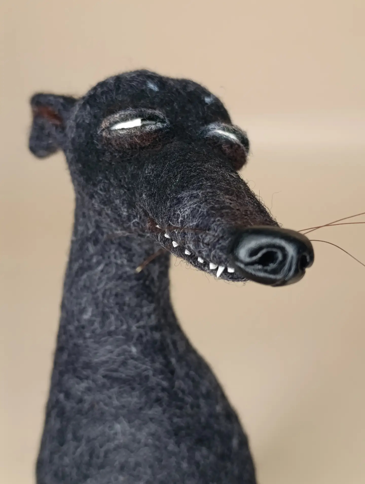 鬼迷日眼灵缇犬