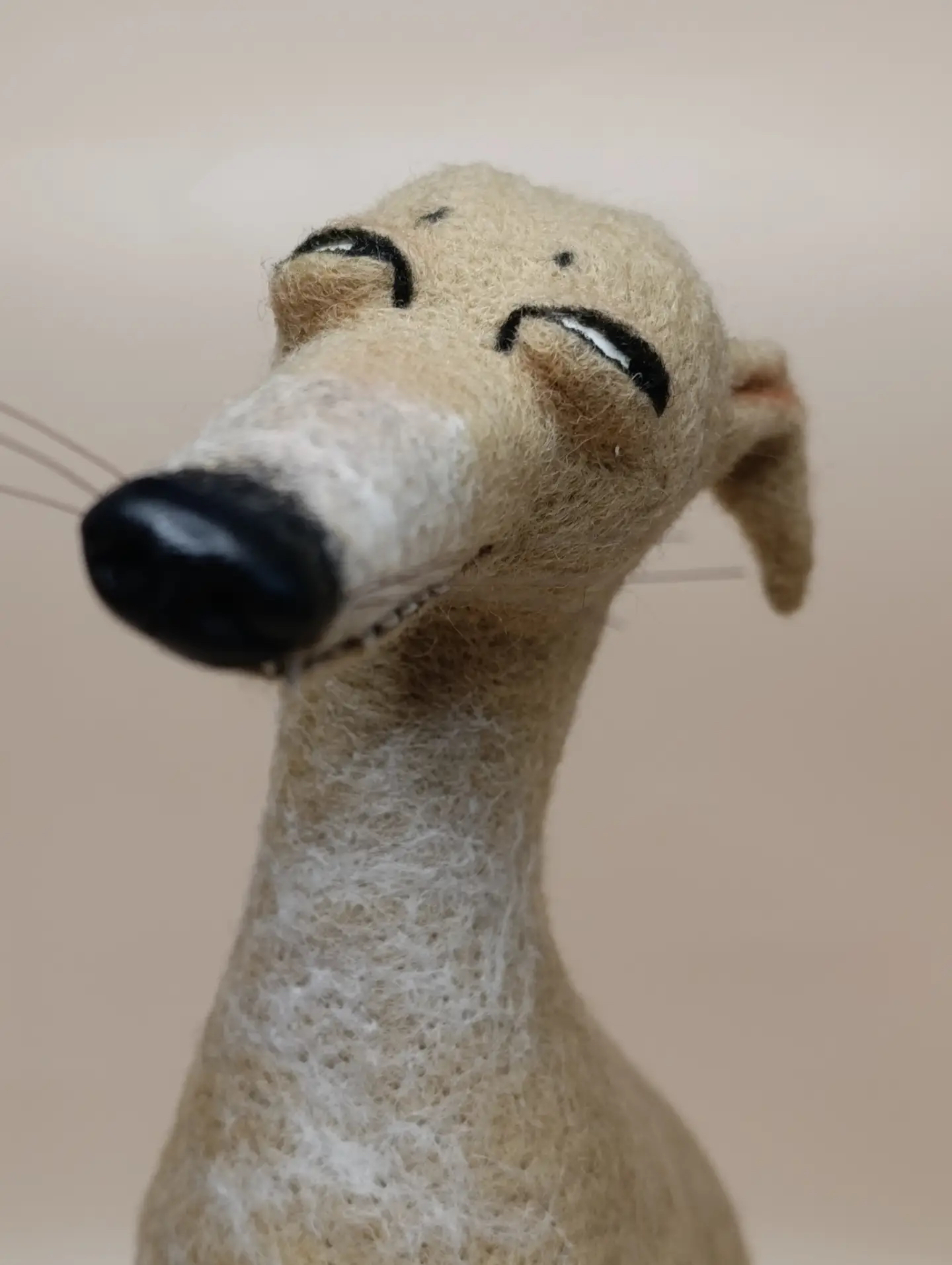 鬼迷日眼灵缇犬