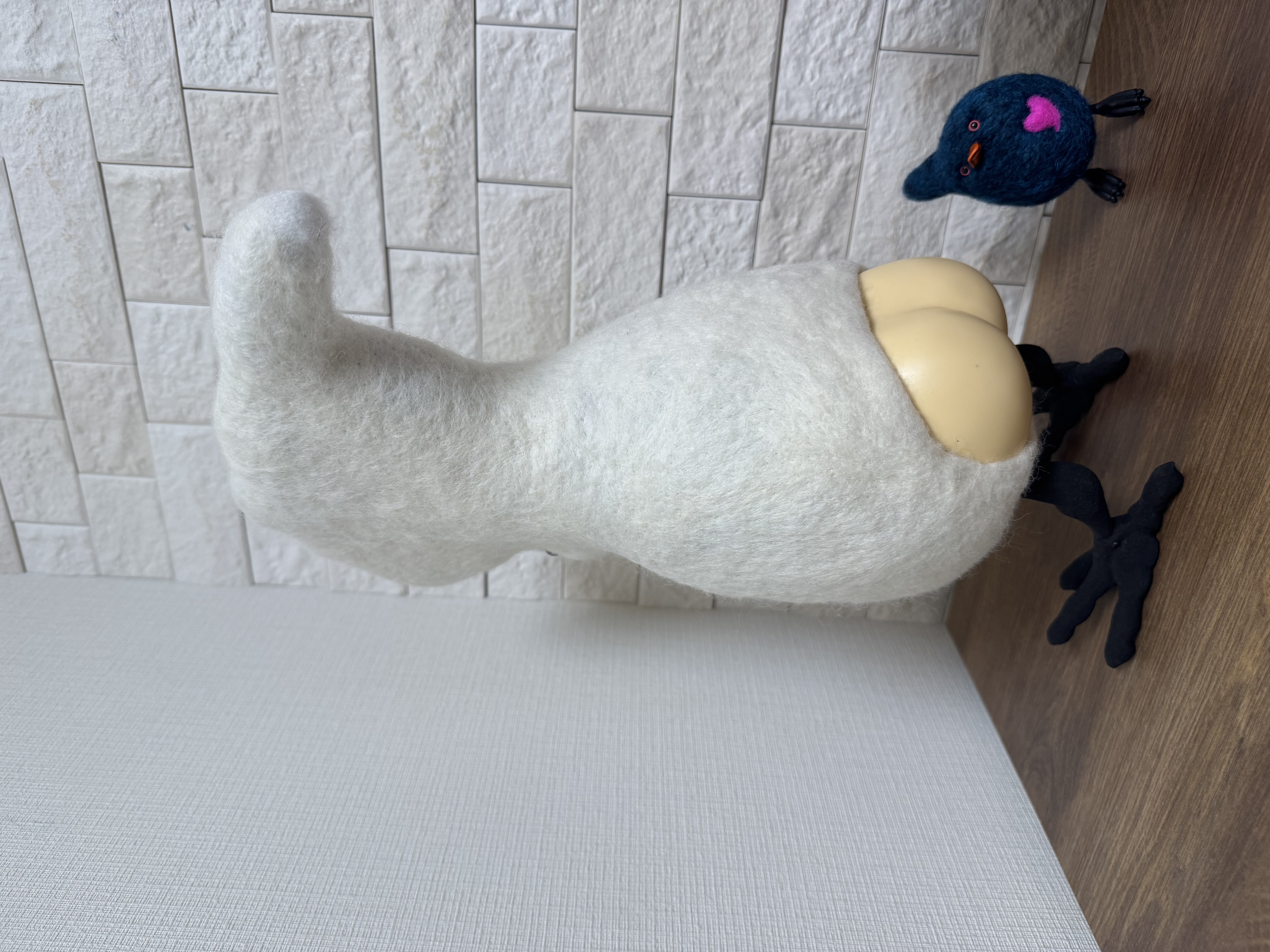 【屁股鸟】超大白凤头鹦鹉 🦜
