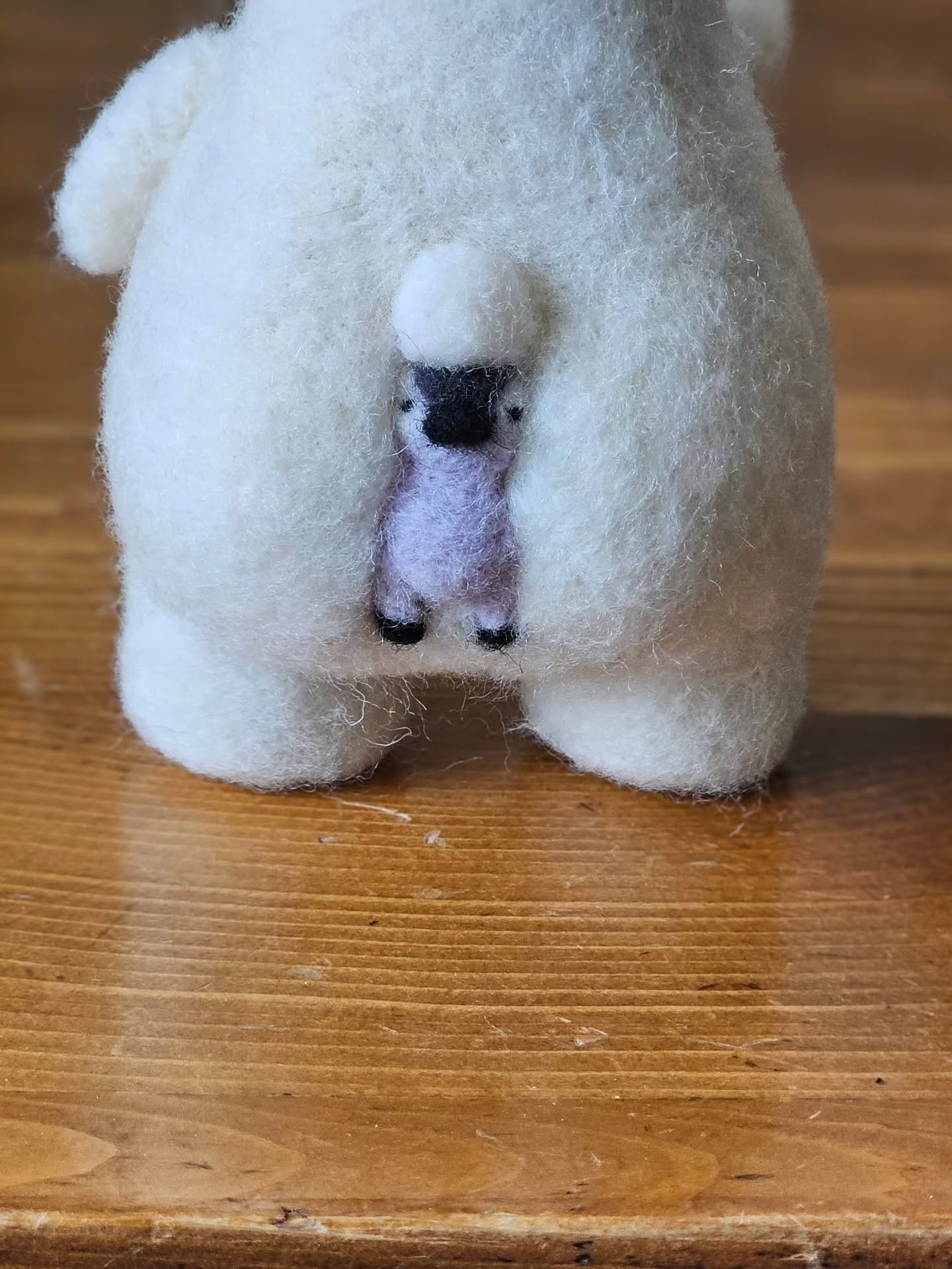 走失的企鹅老友🐧