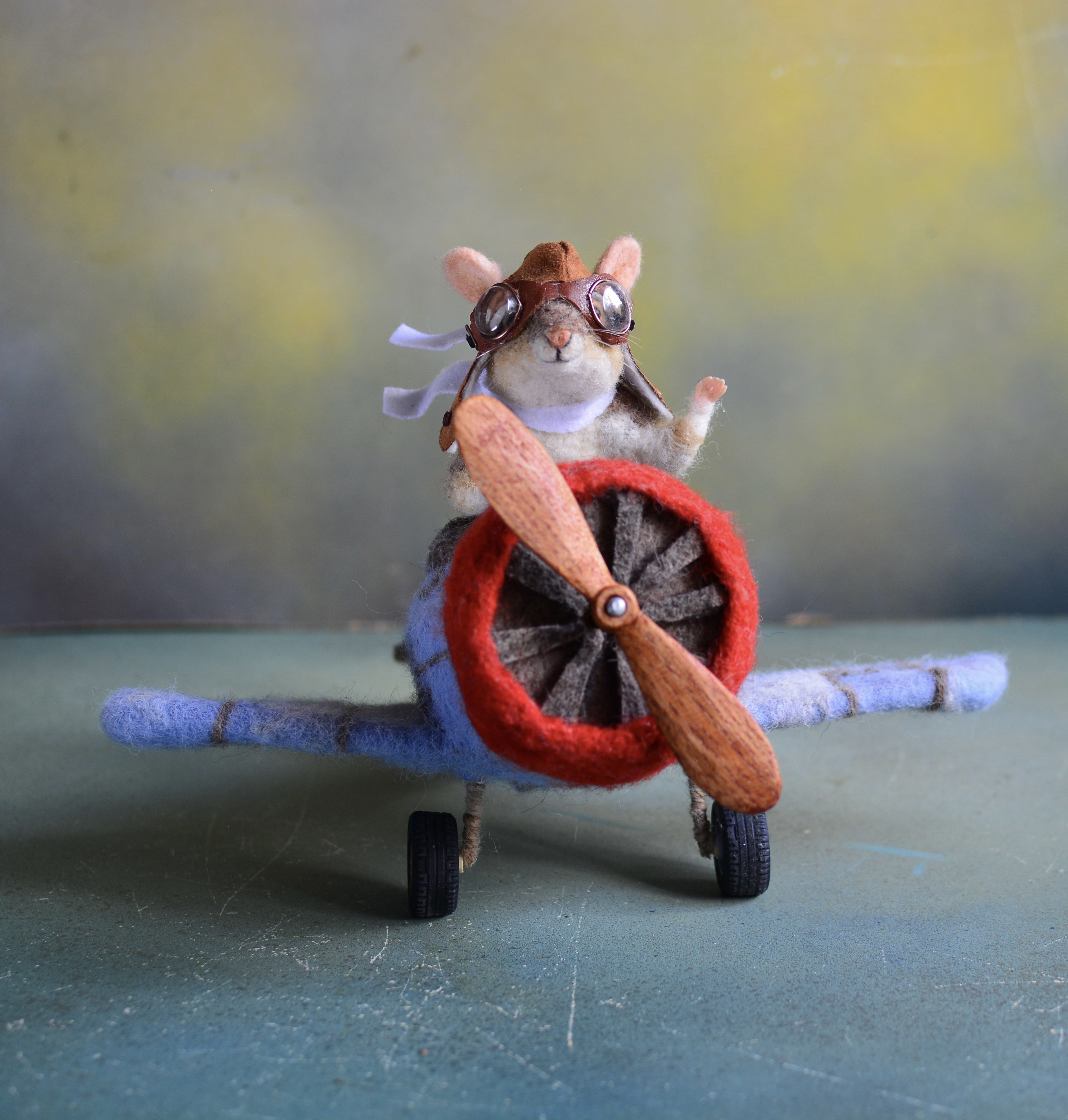 飞行鼠Oliver🐭