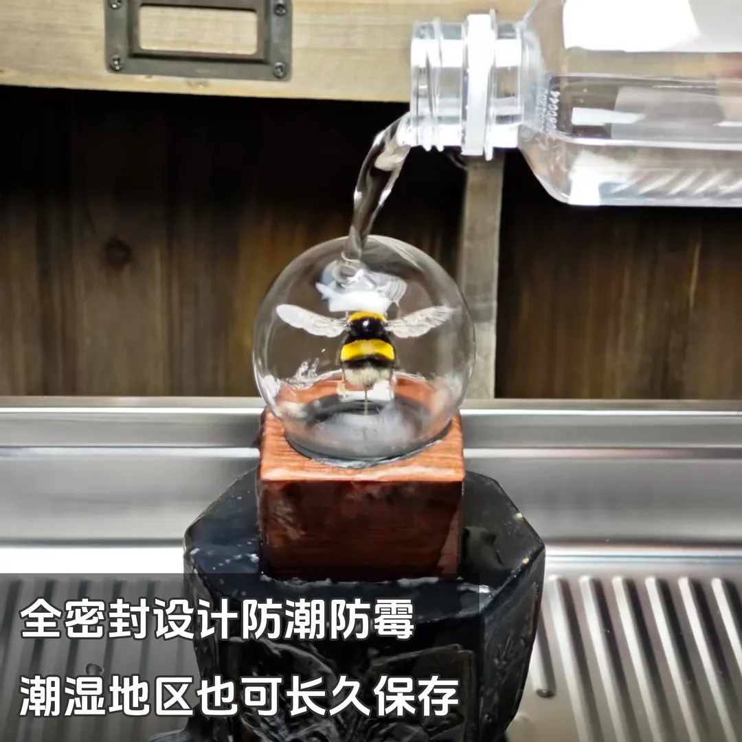 熊蜂蜂王🐝标本玻璃球星座系列-送礼专属