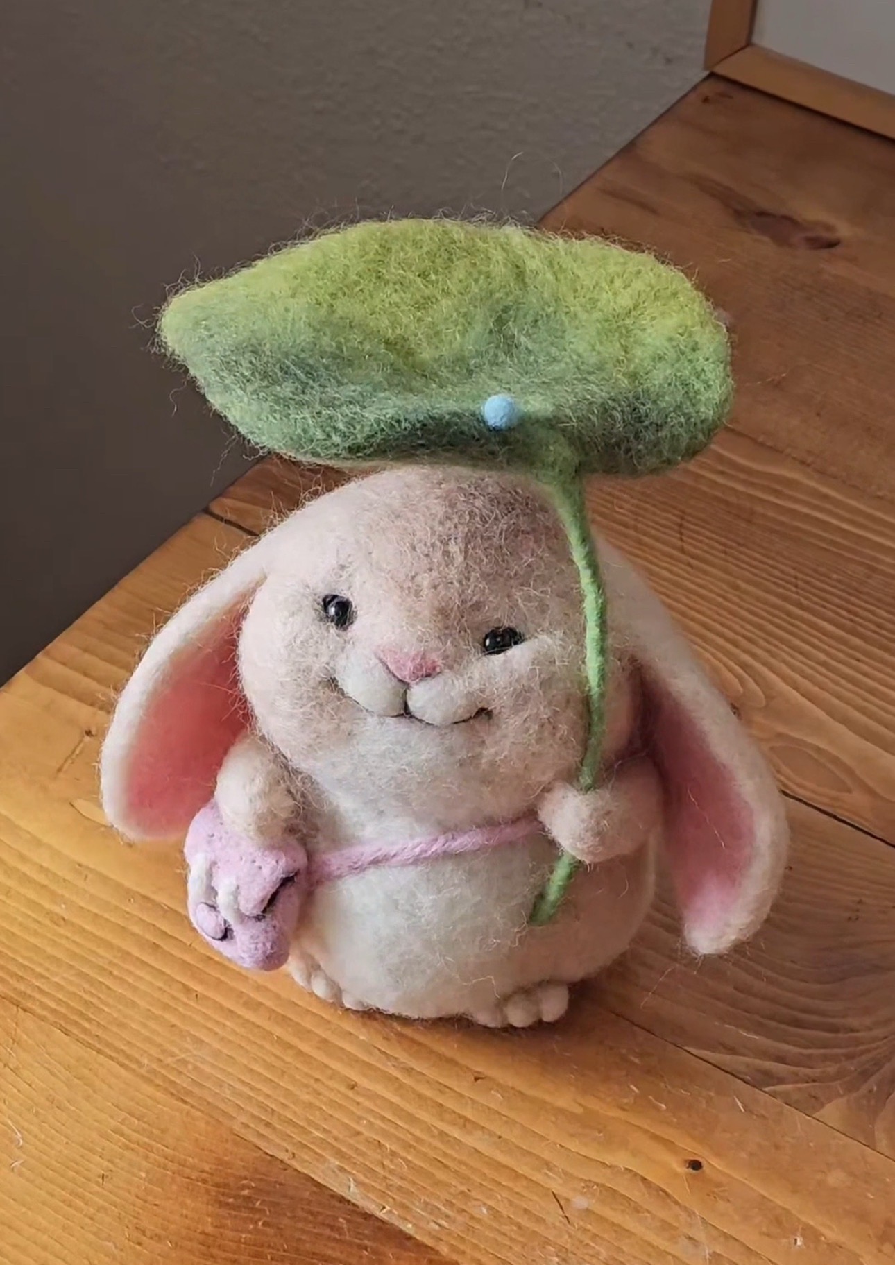 雨中的垂耳兔🐰