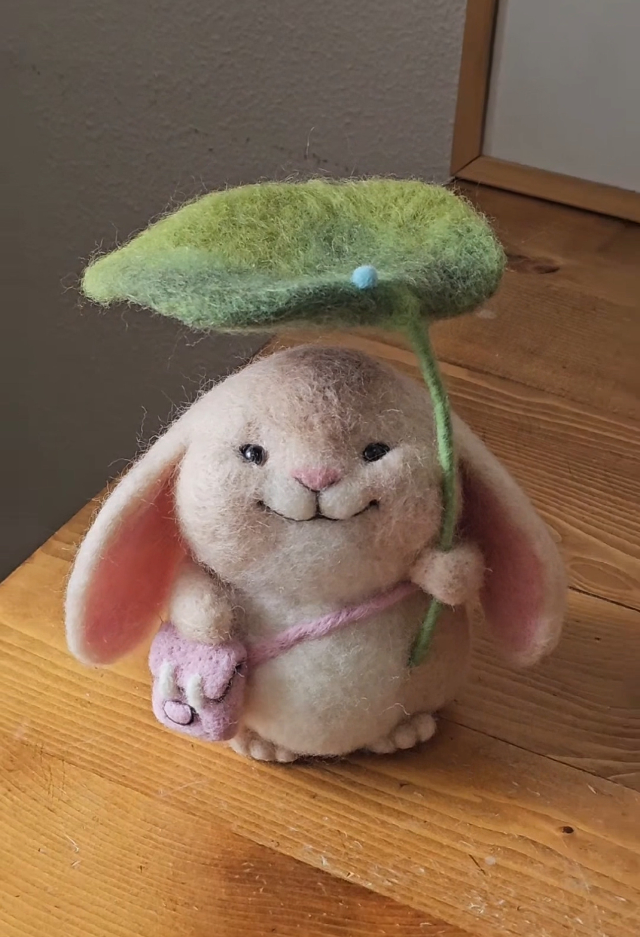 雨中的垂耳兔🐰