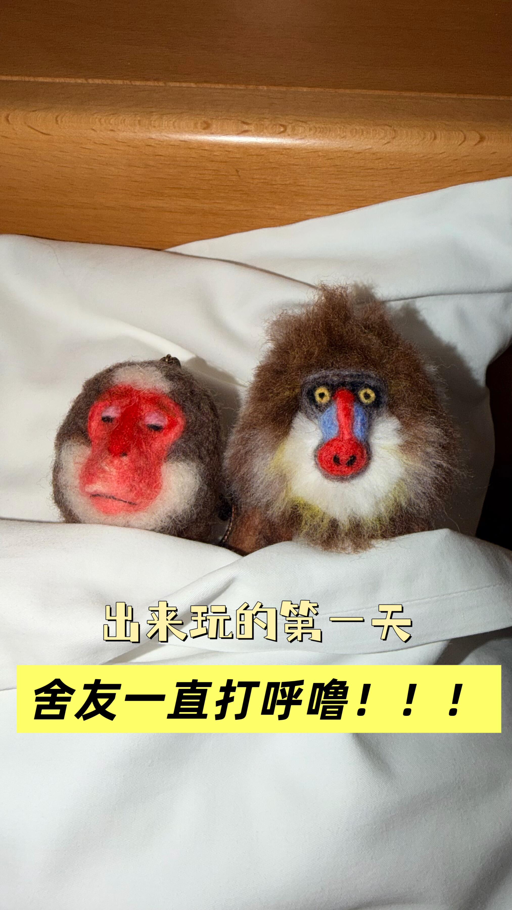 旅行山魈和猴哥