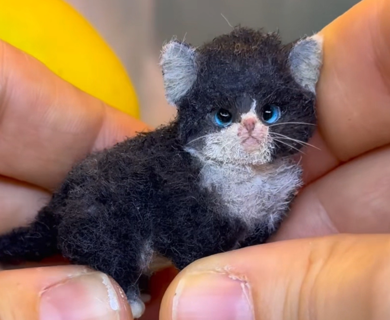 牛奶猫微缩玩偶定制
